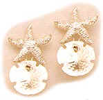 Starfish and Sand Dollar